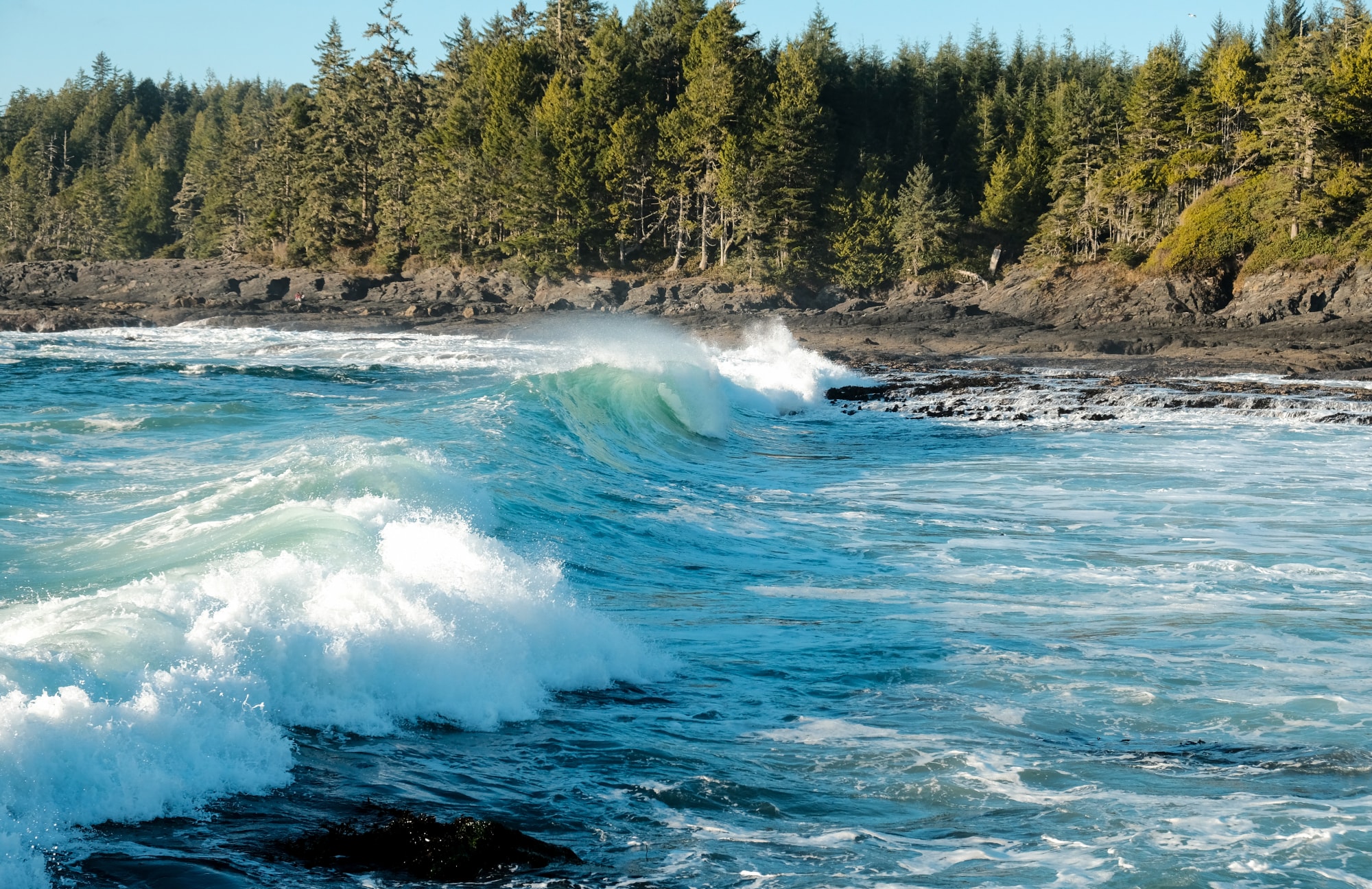 Botanical Beach Waves (Port Renfrew, Vancouver Island; image by Nick Croft)